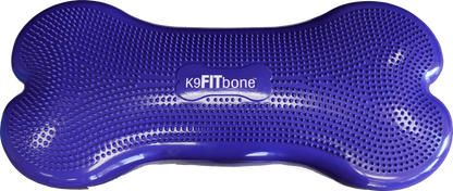 Giant K9FITbone