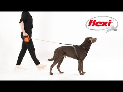 Flexi Retractable Leash