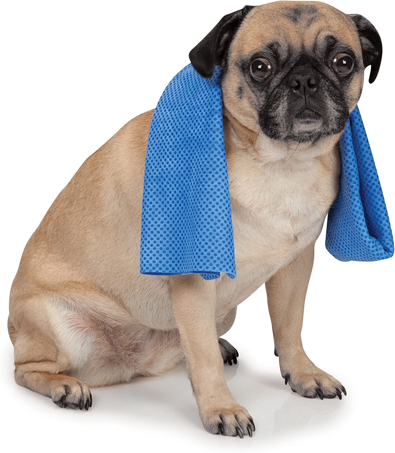 Cool Pup Dog Cooling Towel