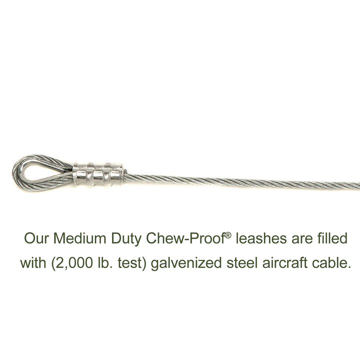 Alpine Outfitters Chew-Proof Dog Leash