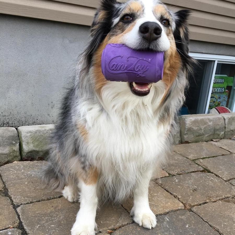 Soda Can Treat Dispenser – Give the Dog a Ball