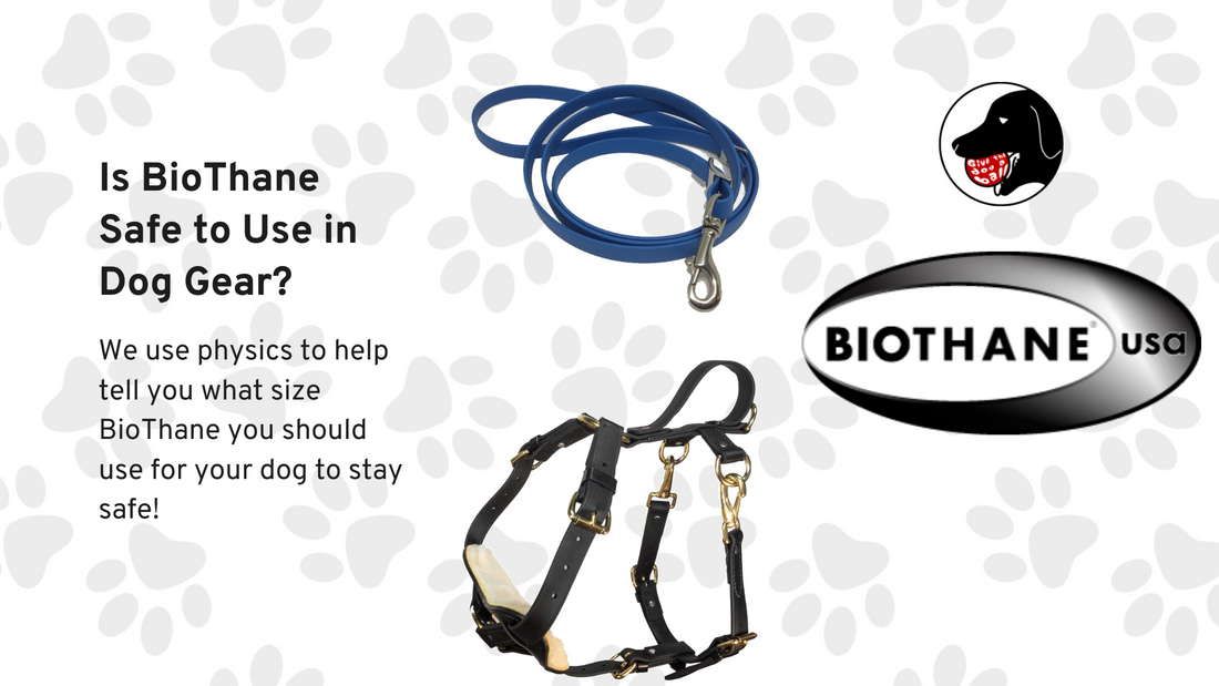 Is BioThane Safe to Use in Dog Gear?