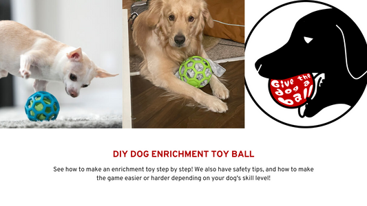 DIY Dog Enrichment Toy Ball