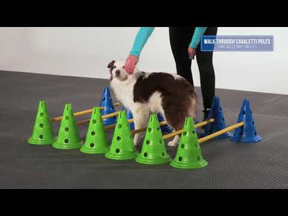 FitPAWS Agility Kit CanineGym 3 Jumps