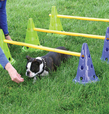 FitPAWS Agility Kit CanineGym 3 Jumps