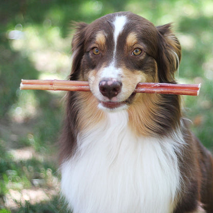 Fantastic Dog Chews 12 inch Bully Sticks