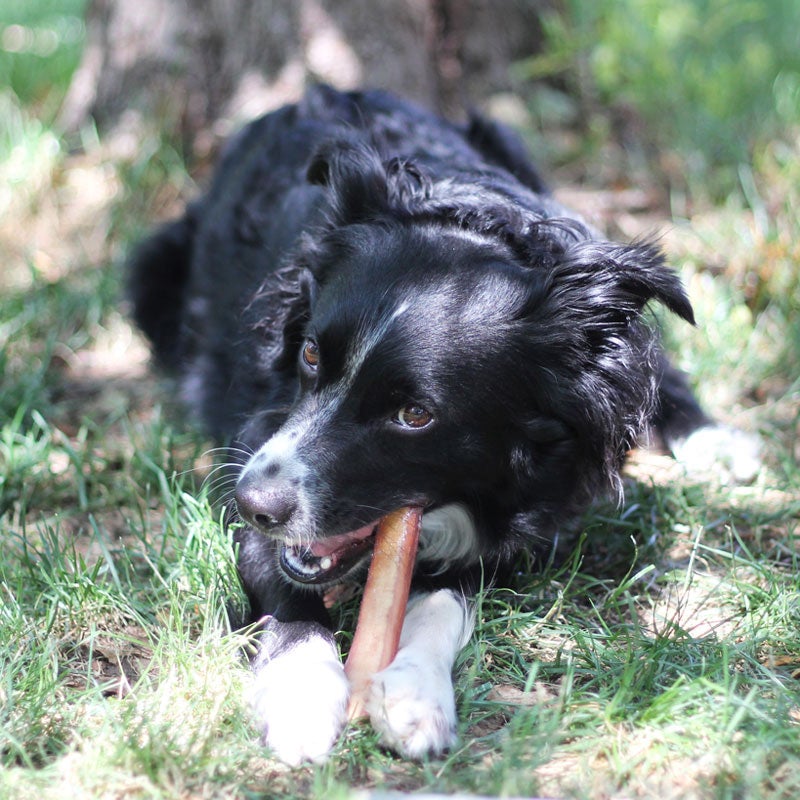 Fantastic Dog Chews 6 inch Bully Sticks