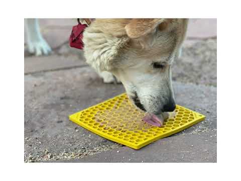 Dog Bone Enrichment Lick Mat  Dog enrichment, Healthy teeth