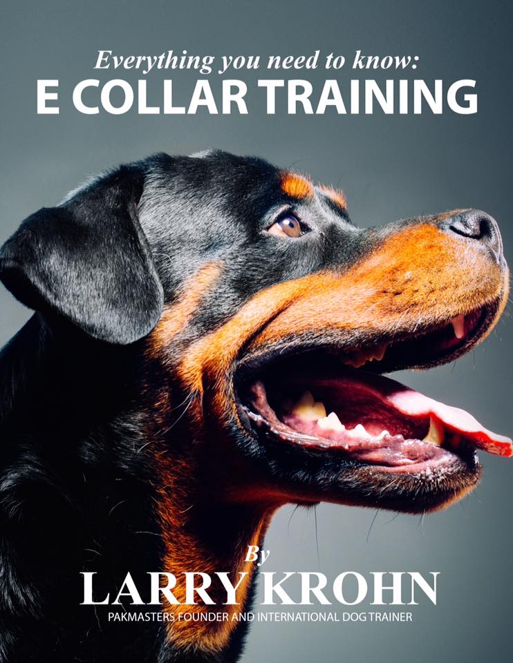 Book E Collar Training