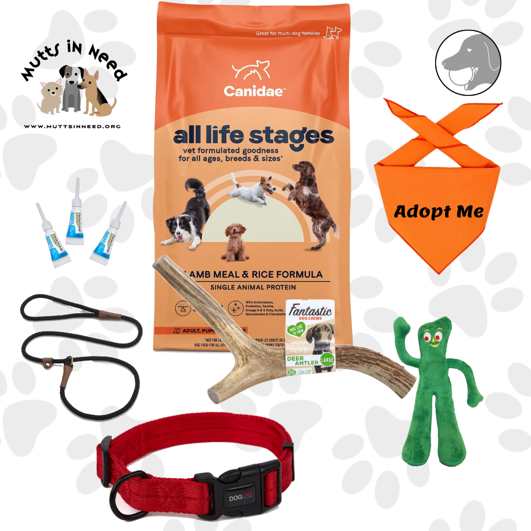 Sponsor a Mutt in Need Care Package