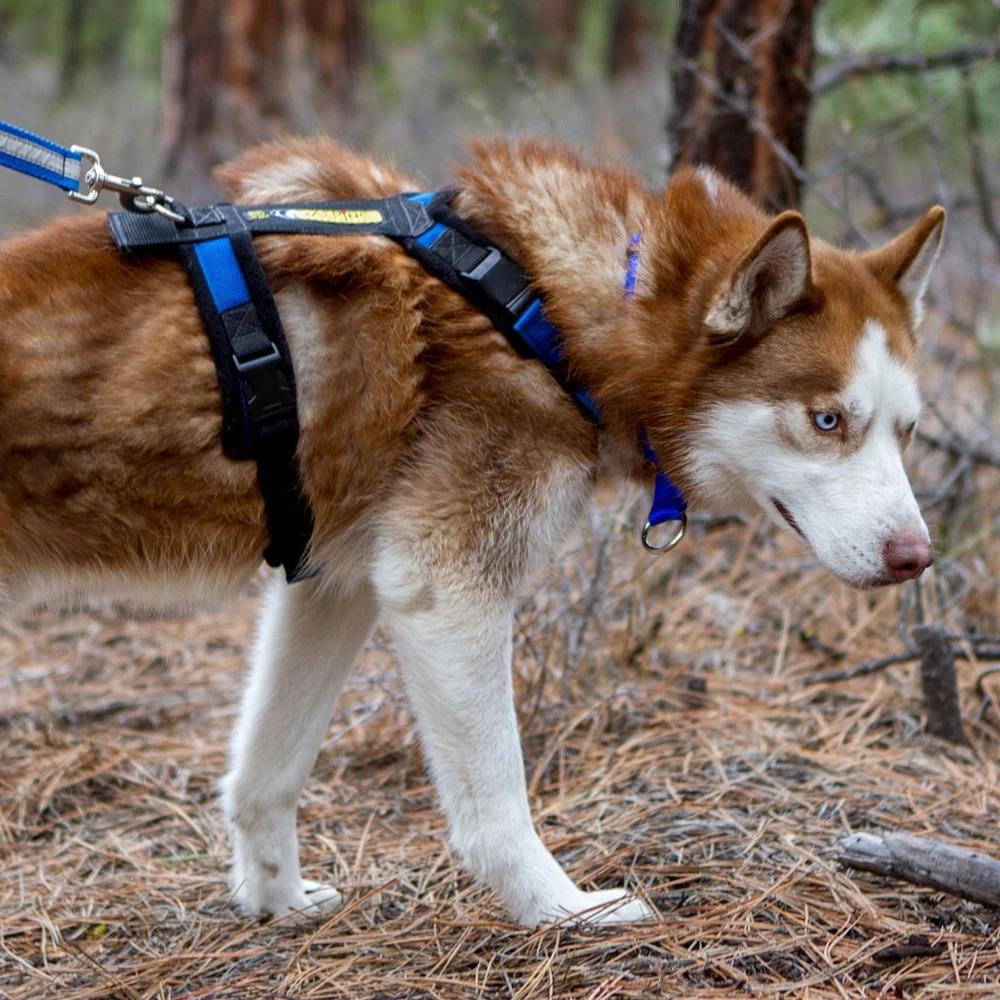 Alpine Outfitters Adjustable Harness