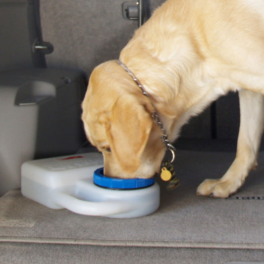 No Spill Travel Water Bowl
