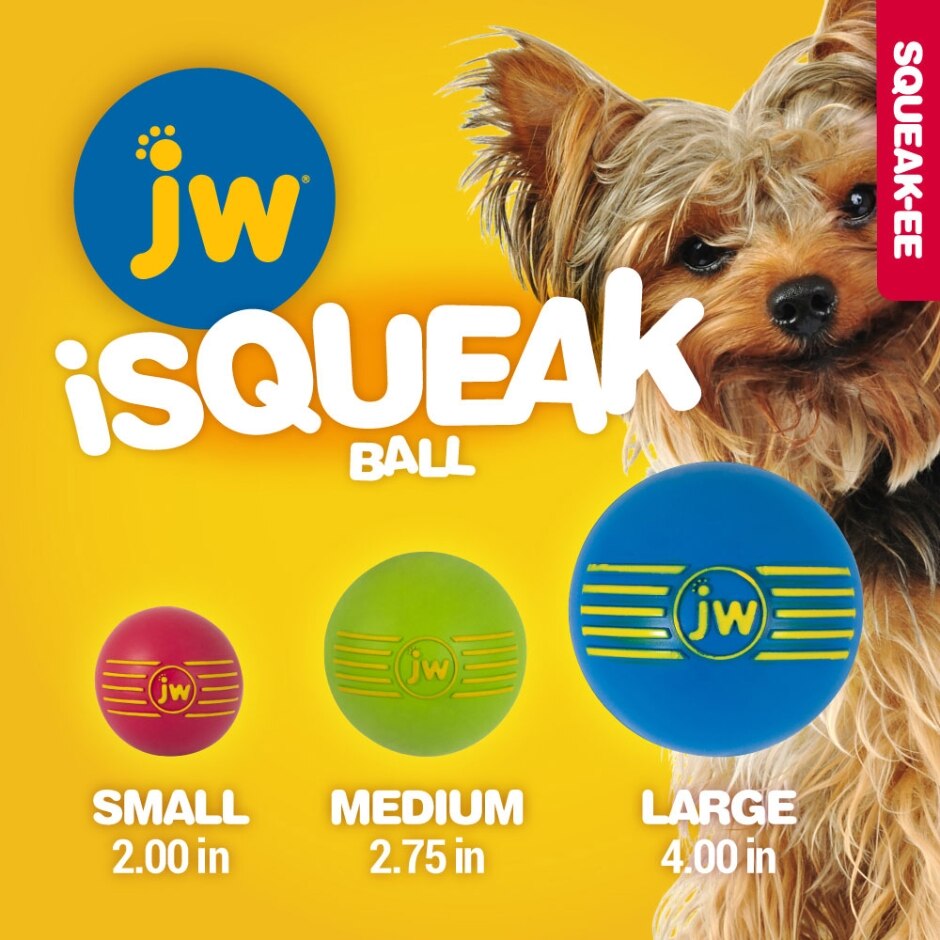 JW Pet iSqueak Ball