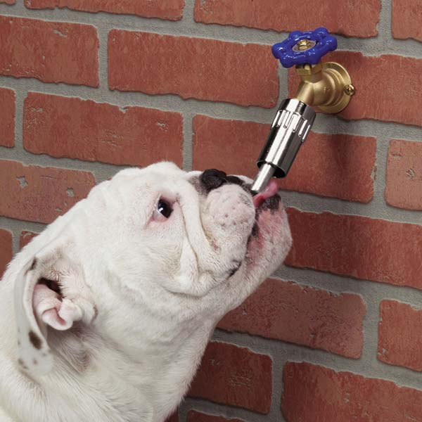 Cool Pup Faucet Dog Waterer
